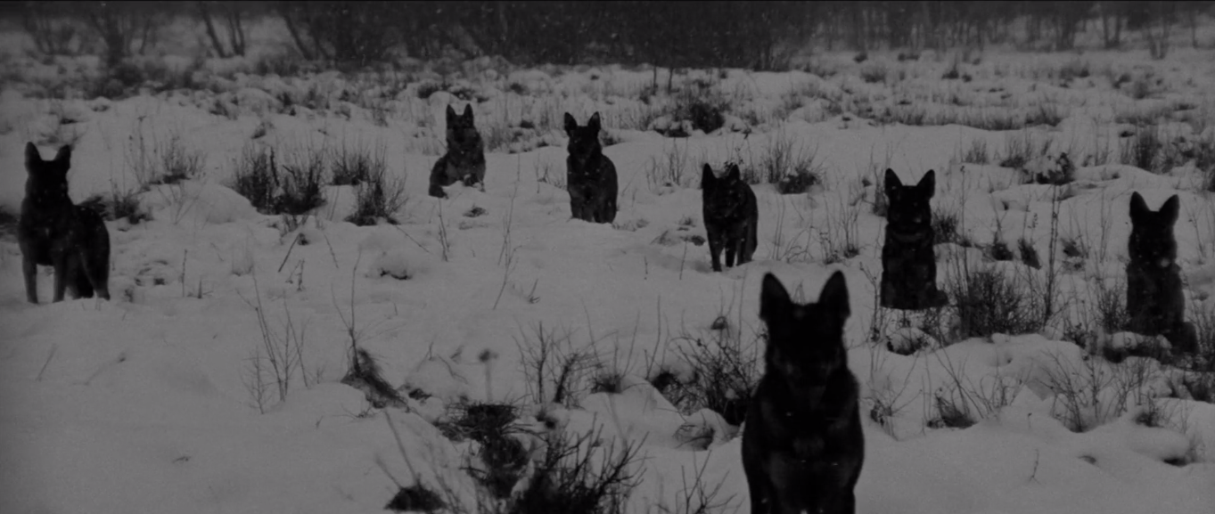 Capture d_écran (308)