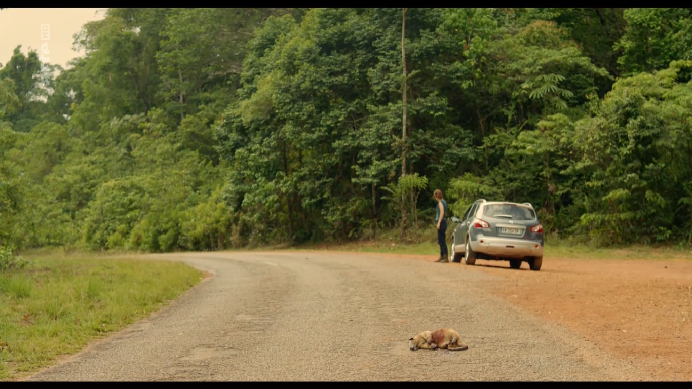 Capture d’écran (133).png