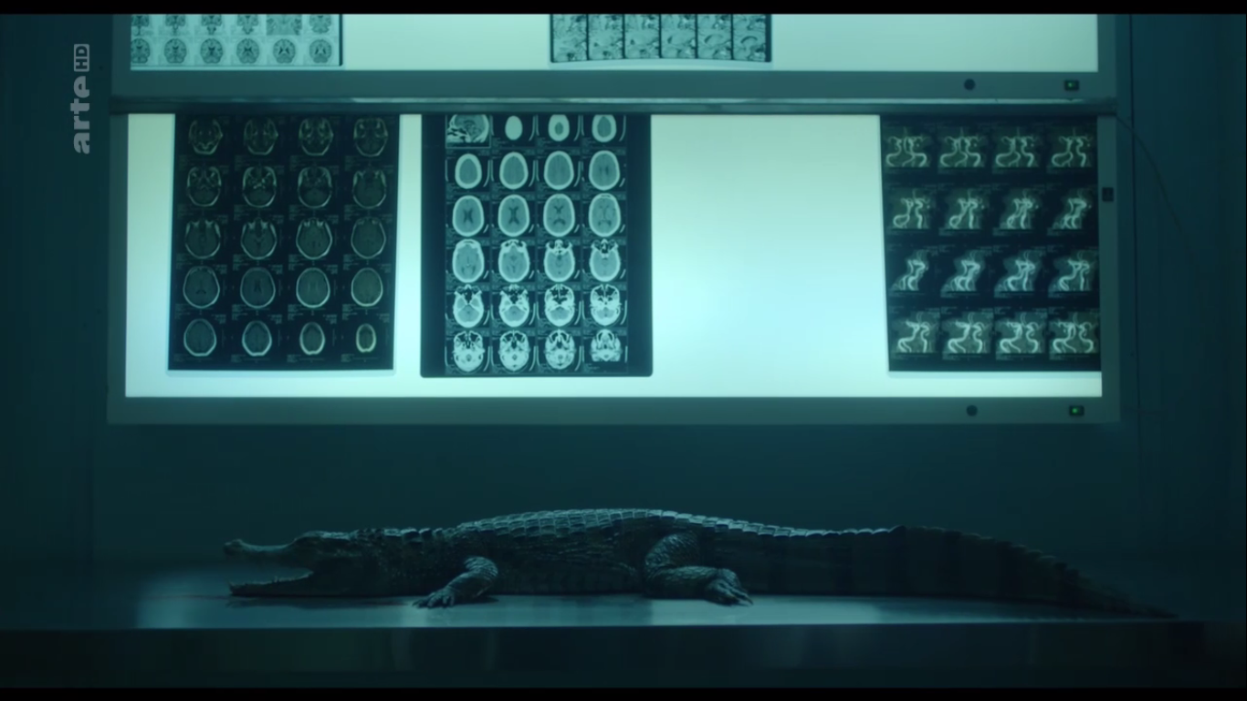 Capture d’écran (141).png